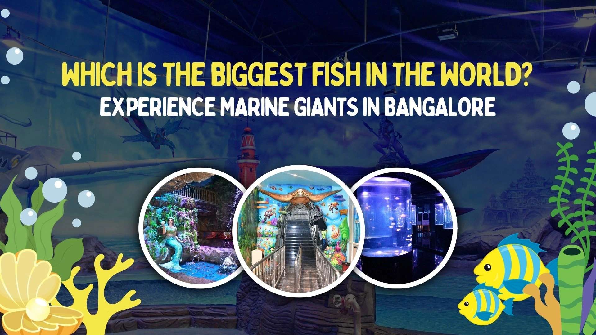 Which is the Biggest Fish in the World? Experience Marine Giants in Bangalore